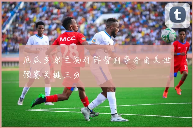厄瓜多尔主场对阵智利争夺南美世预赛关键三分