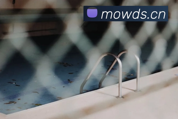 半岛网官网登录入口全站App